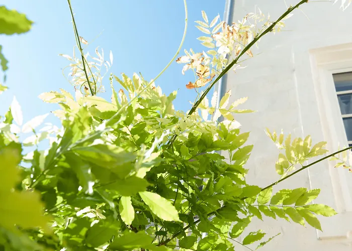 D'hotes Eden Ouest Frühstückspension